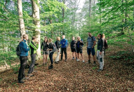 Wanderung Eifelverein, © Paul Meixner