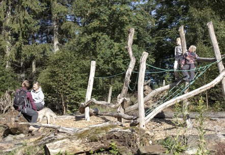 Walderlebnisparcours Kölschkier, Spinnennetz, © Eifel Tourismus GmbH, Tobias Vollmer - finanziert duch REACT-EU