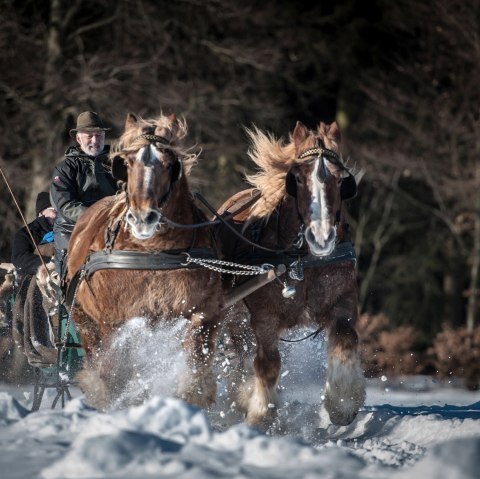 Bauershof, © Akim-Tierfotografie