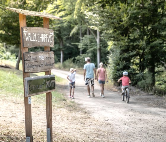 Vom Waldspielplatz Richtung Waldlehrpfad, © Grünmetropole - Dennis Stratmann