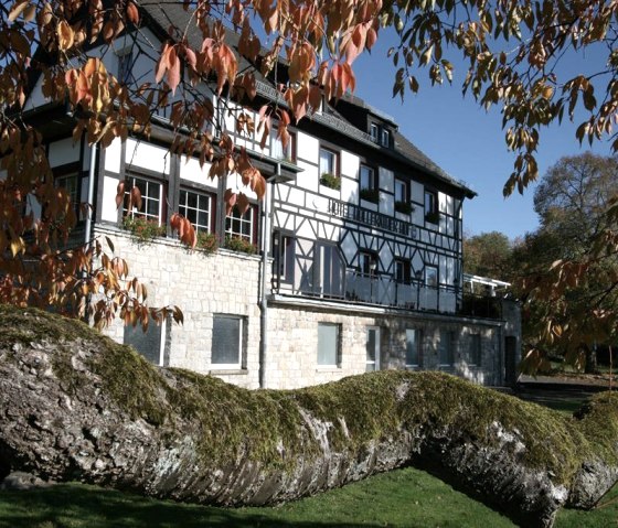 Herbststimmung, © Nordeifel Tourismus GmbH & Hollerather Hof