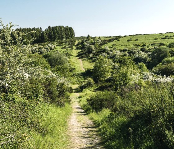 Hike Op Platt, © Frank Wiesen