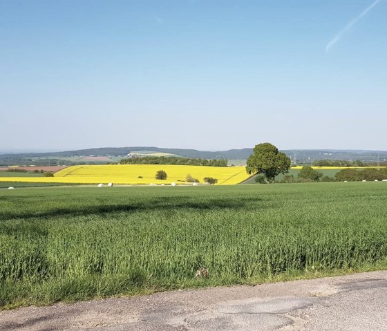 Landschaft um Lückerath