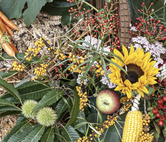 Herbstblumen, © LVR-Freilichtmusuem Kommern/  Hans-Theo Gerhards