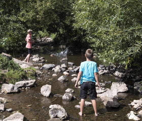 Das Leben im Bach, © Eifelgemeinde Nettersheim