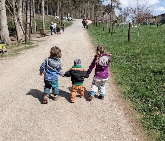 Kinder unterwegs im Wildfreigehege Hellenthal, © Lena Poth