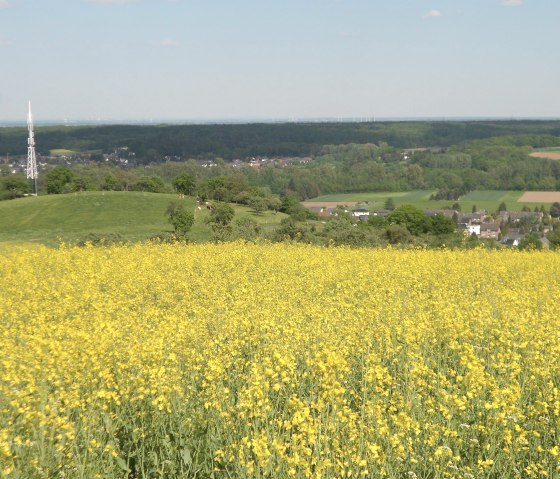 Vom Hengenberg hat man eine traumhafte Aussicht, © Rureifel-Tourismus e.V.