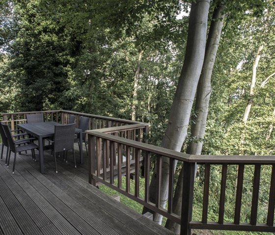 Ferienhaus Waldhaus Anne Terrasse