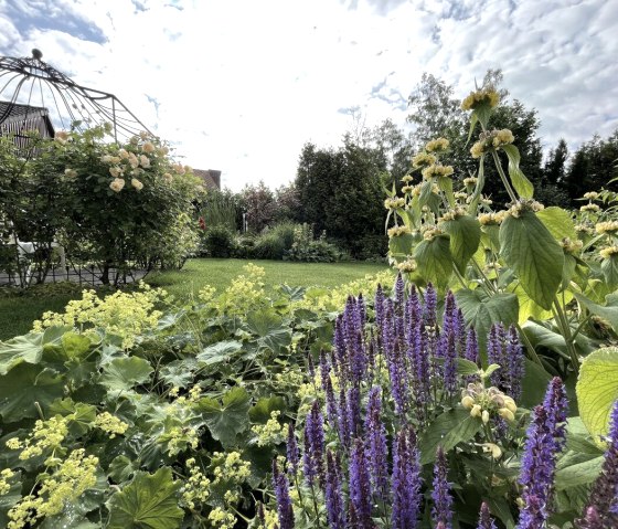 View of the garden, © Kathrin van Gumpel