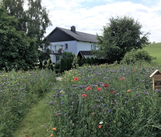 hausblumen, © Nordeifel Tourismus GmbH & Ferienwohnung Auszeit