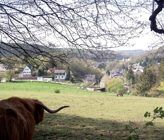 05-animal-schane-view, © Dieter Gier