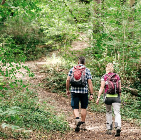 Geführte Wanderung, © Paul Meixner