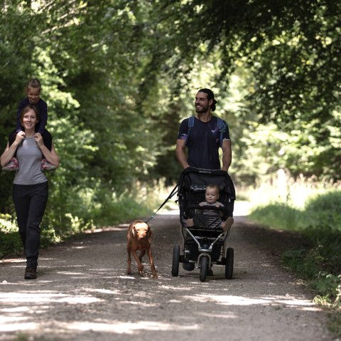 Family hike, © Eifel Tourismus GmbH -Tobias Vollmer