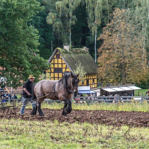 Arbeiten auf dem Feld, © Hans-Theo Gerhards//LVR