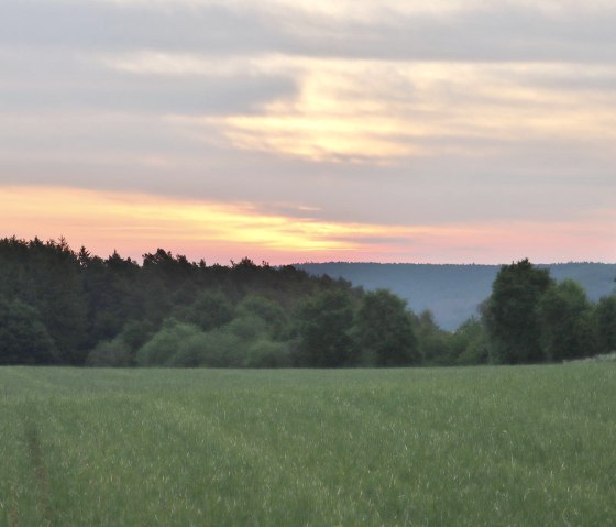 Wanderung in den Morgen, © Rainer Faymonville