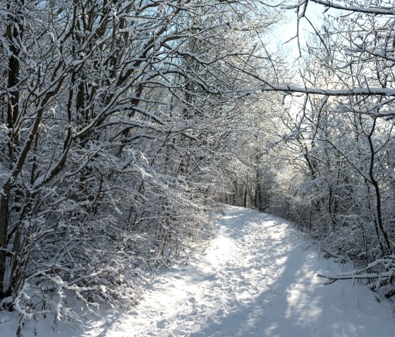 Winterlandschaft in der Eifel, © Eifel Tourismus GmbH / D. Ketz