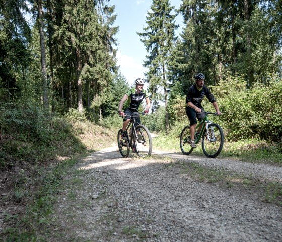 Radfahrer im Wald, © Freifahrt Eifel - Kreis Düren