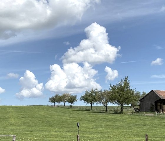 Blick hinters Haus, © Ferienwohnungen Büffel