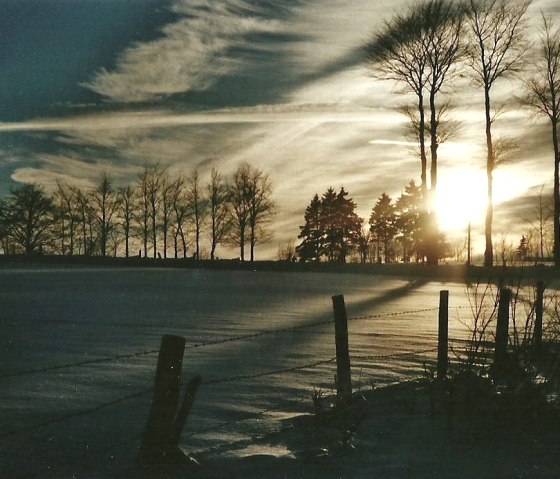 Winter Krummer Ast, © Wolfgang Weber