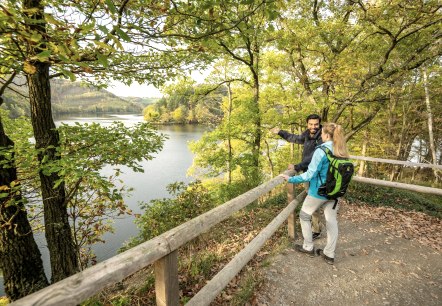 Wildnis-Trail Etappe 2 - Obersee, © Eifel Tourismus GmbH, Dominik Ketz