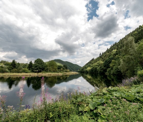 Staubecken Heimbach