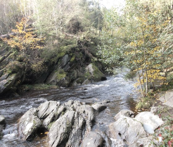 Natur, © Eifel heimisch