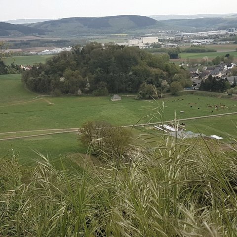 Lüxeberg, © Tourist Information Wittlich Stadt & Land