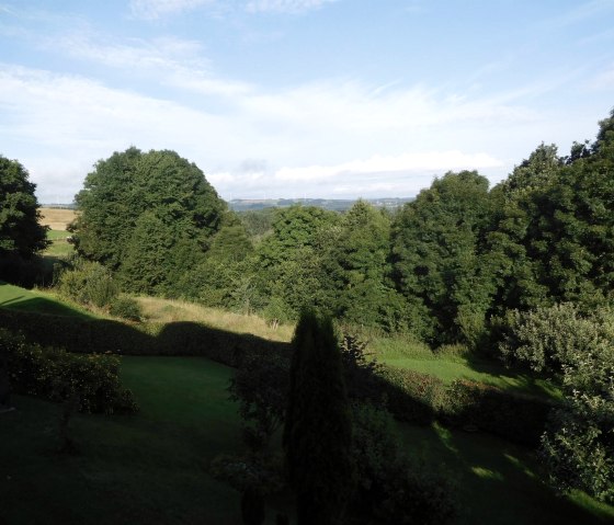 Blick aus dem Küchenfenster