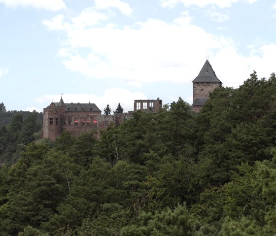 Blick auf Burg Nideggen vom Entdeckungspfad aus, © Eifel Tourismus GmbH, Tobias Vollmer - gefördert durch REACT-EU