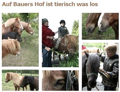 Tierisch was los, © Ferienhof Bauer