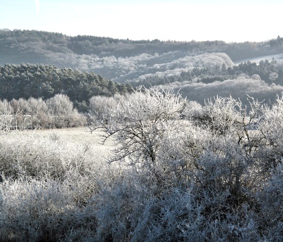 Winter landscape_2, © Nordeifel Tourismus GmbH & Zum Goldenen Schaf