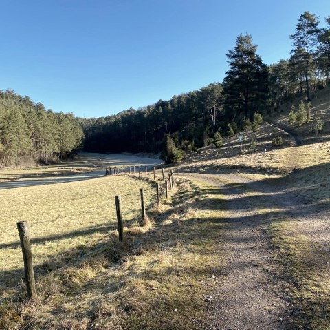 Kräuterführung in dre Natur, © Irmgard Löffelmann