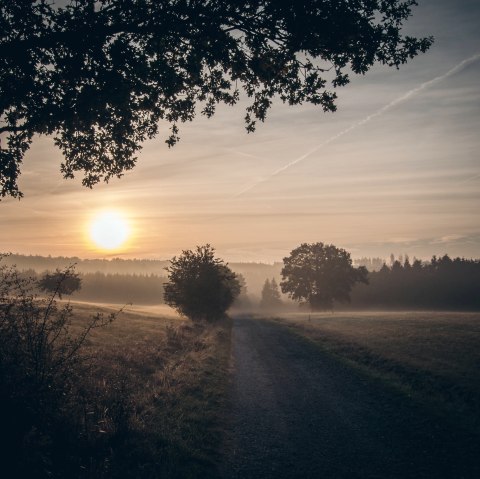 Schöpfungspfad, © Vogelsang