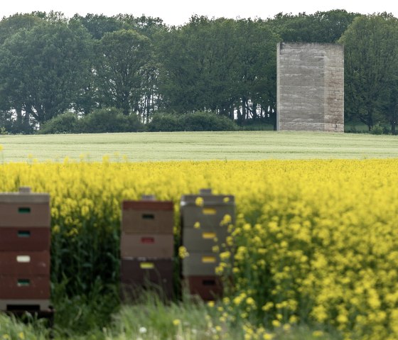 Bruder Klaus Kapelle vor blühemdem Raps, © Eifel Tourismus GmbH, AR - shapefruit AG