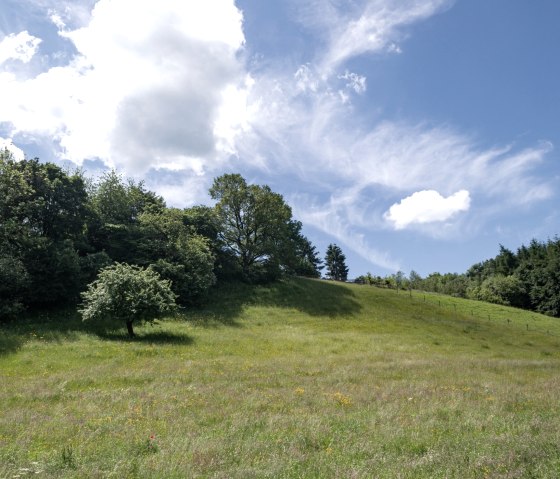 View over meadow, Eifelspur Heideheimat, © Nordeifel Tourismus GmbH