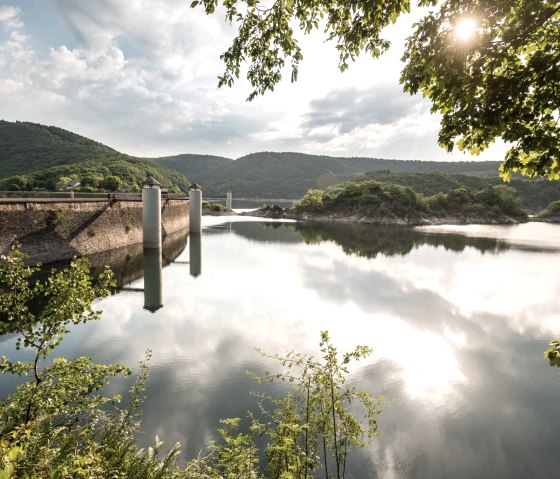 Am Ufer der Urfttalsperre, © Eifel Tourismus GmbH, Dominik Ketz