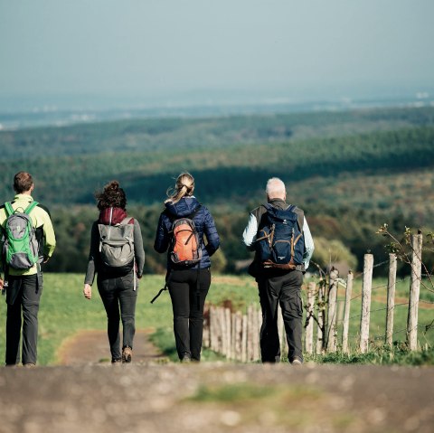 Guided hike, © Paul Meixner