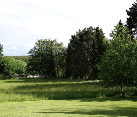 Blick in den Garten