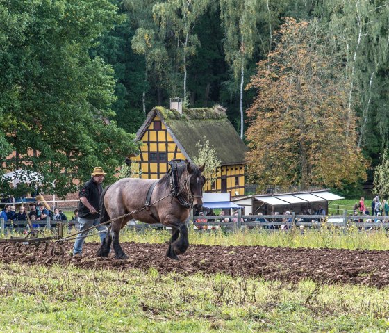 Arbeiten auf dem Feld, © Hans-Theo Gerhards//LVR