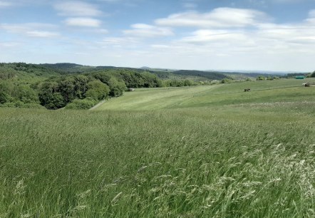 Eifel-Blick Nonnenbacher Weg, © Gemeinde Blankenheim