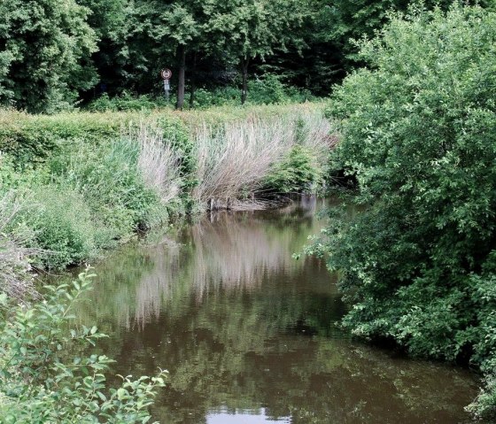 Wassergraben bei der Hardtburg