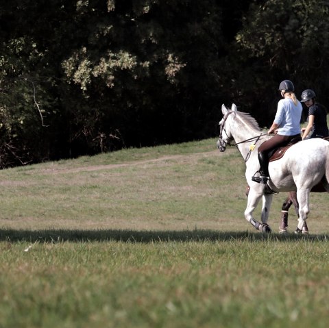 reiten, © Nordeifel Tourismus Gmbh