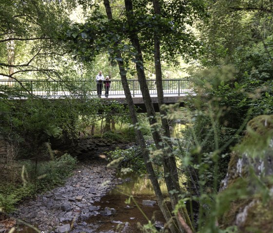 Bridge in the forest, © eifel-tourismus-gmbh_tobias-vollmer