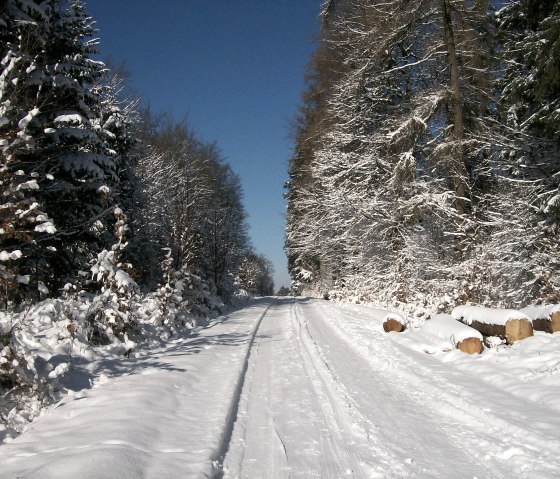 Winterbilder Skiloipen