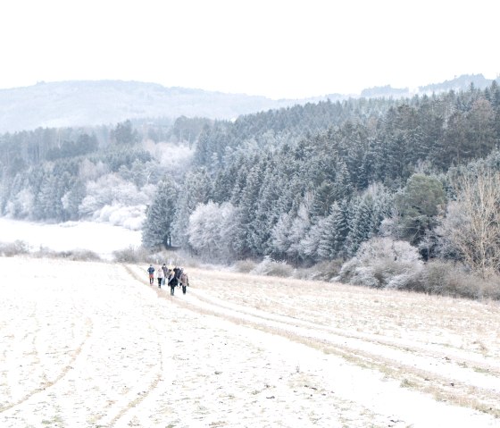 GlühweinSchleife, © Anja Keul