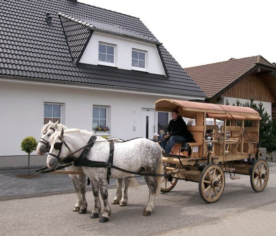 Römischer Reisewagen 100_0487