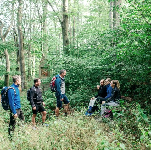 Geführte Wanderung Eifelverein, © Paul Meixner