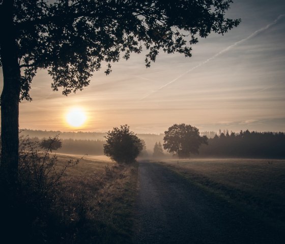 Schöpfungspfad, © Vogelsang