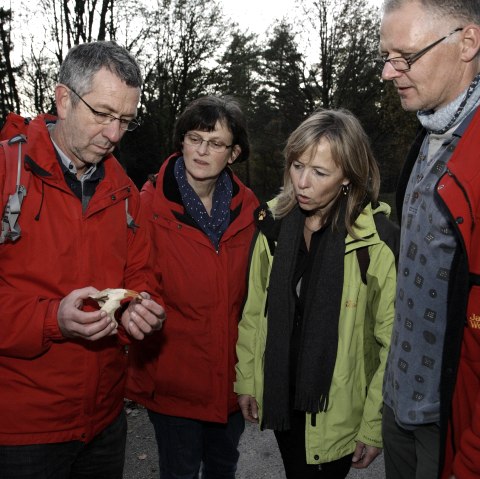 Searching for beavers at dusk, © Rureifel-Tourismus e.V._Giesen