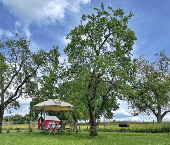 image00004, © Nordeifel Tourismus GmbH & Ferienwohnung Sternengarten Eifel